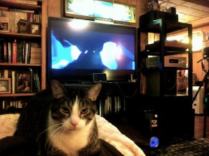 Ernesto in the basement NOT watching Top Gun